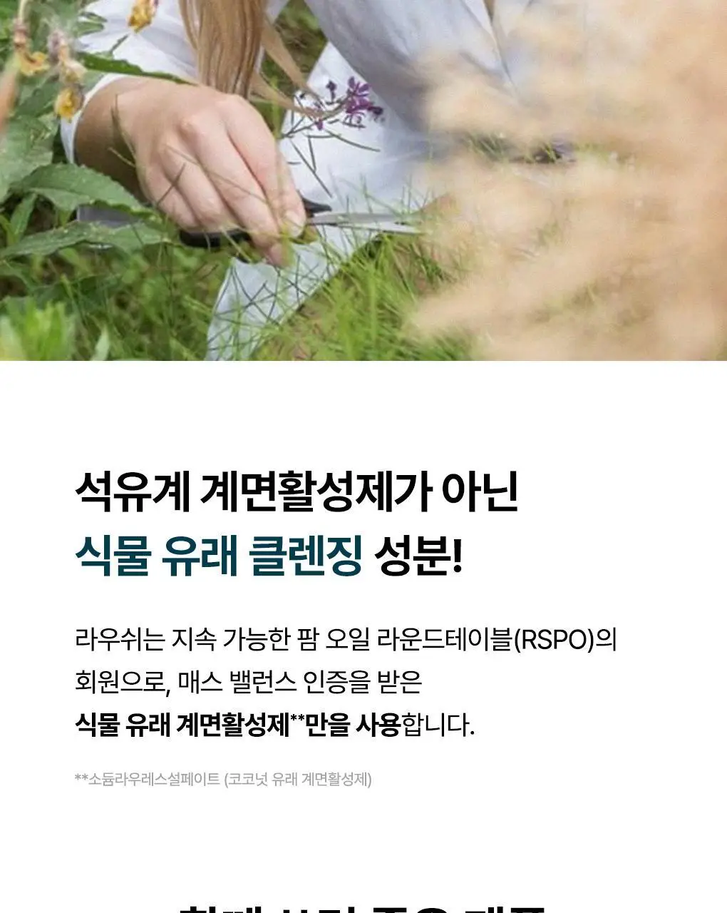 [두피뿌리볼륨]라우쉬 윌로우바크 트리트먼트 샴푸200ml&컨디셔너150ml 기획 상세페이지 35